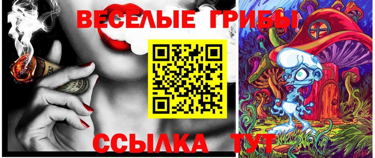 Сокол  Галлюциногенные грибы Psilocybine cubensis  купить  сайты  Вход с VPN 