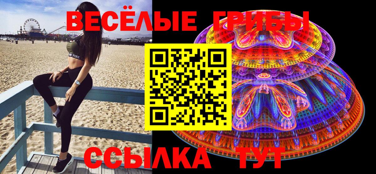 Псилоцибиновые грибы мухоморы Сокол