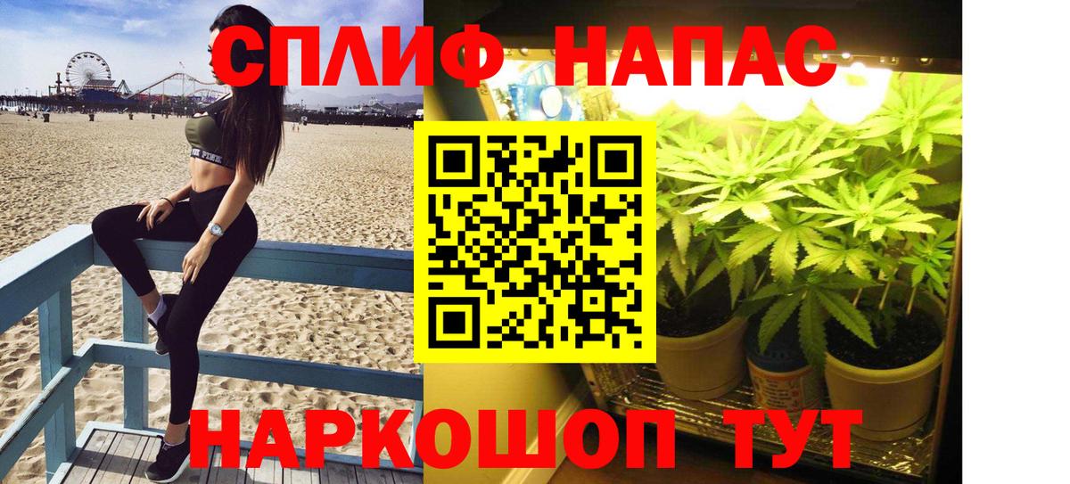 Сокол  Марихуана марихуана  Бошки марихуана семена  Вход с VPN  Канабис Amnesia 